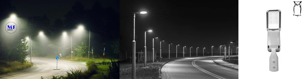 LED-straatverlichting met ondersteuning Smart Control 100W 0-10V Dim Die Casting Aluminium Waterdicht IP65 175lm/W 18