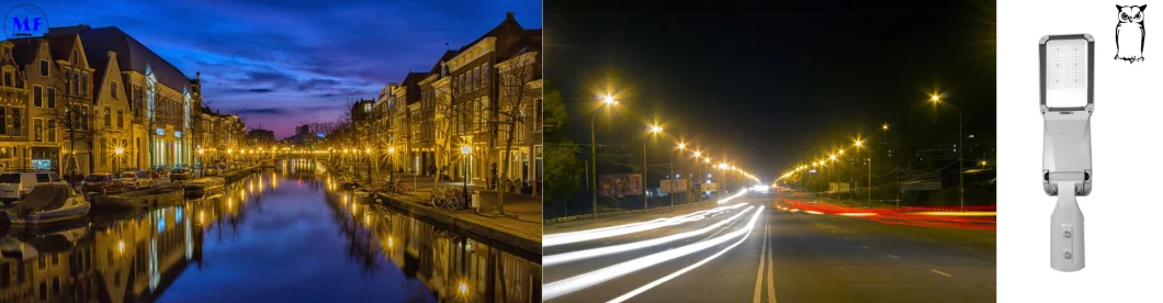 LED-straatverlichting met ondersteuning Smart Control 100W 0-10V Dim Die Casting Aluminium Waterdicht IP65 175lm/W 19