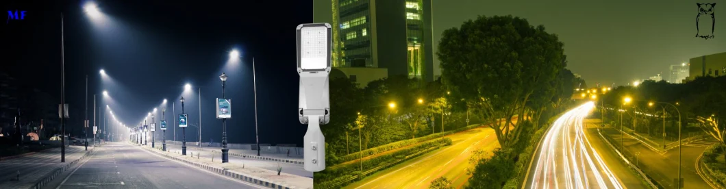 LED-straatverlichting met ondersteuning Smart Control 100W 0-10V Dim Die Casting Aluminium Waterdicht IP65 175lm/W 21