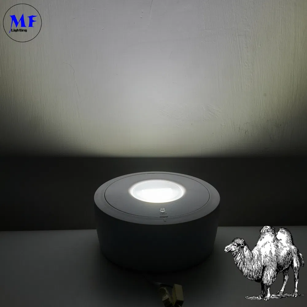 Panel Down Light LED Panic Emergency Escape Exit Sign Light IP65 Batterij back-up Oplaadbare openbare school Ziekenhuis Wit 3