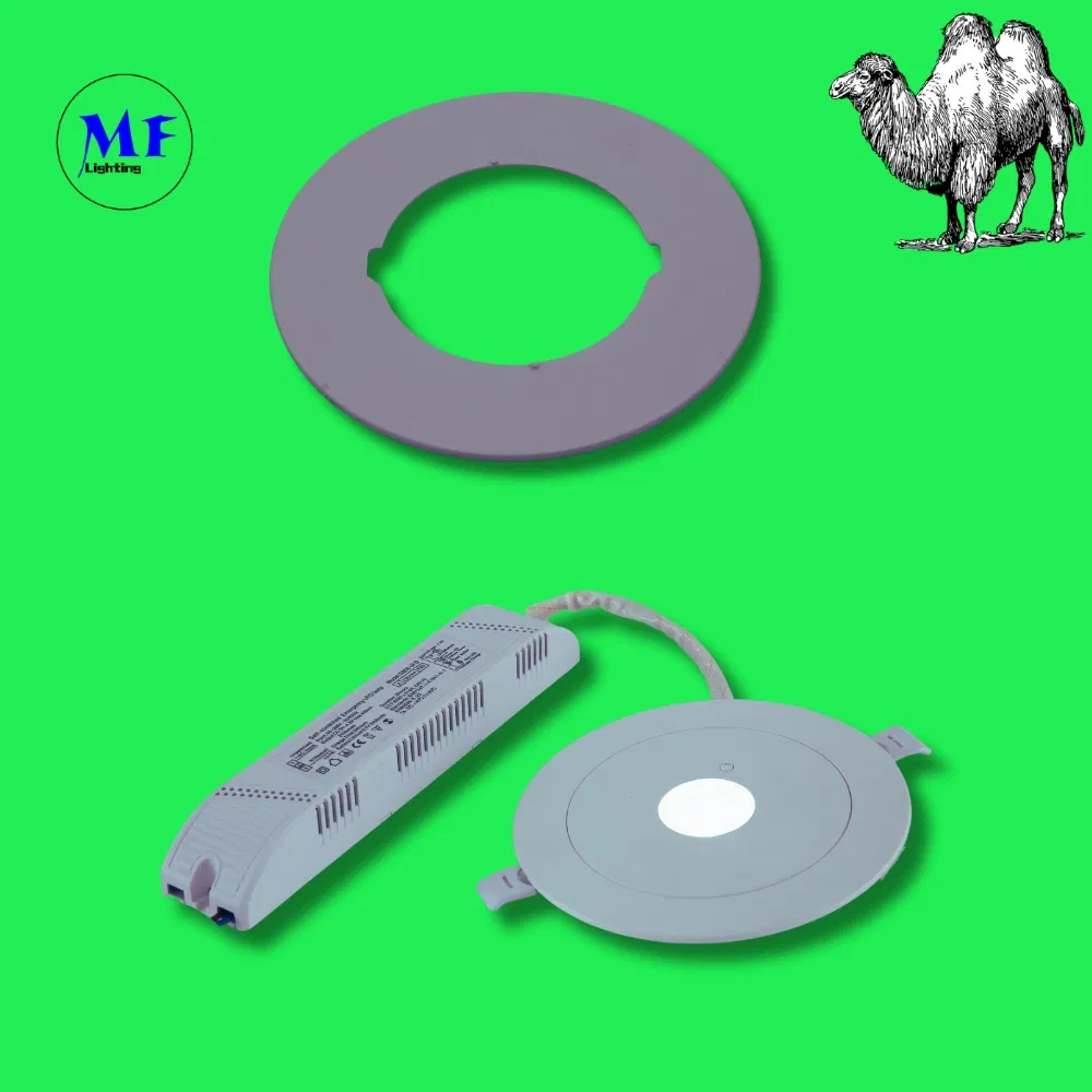 Down Light Paniek Nooduitgang Exit Bord Licht 3u IP65 Batterij Winkel Werkplaats Winkelcentrum 1