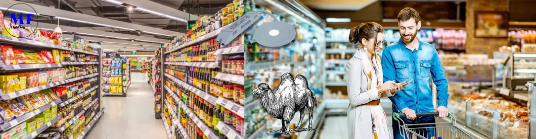 Down Light Paniek Nooduitgang Exit Bord Licht 3u IP65 Batterij Winkel Werkplaats Winkelcentrum 11