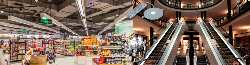 Down Light Paniek Nooduitgang Exit Bord Licht 3u IP65 Batterij Winkel Werkplaats Winkelcentrum 12