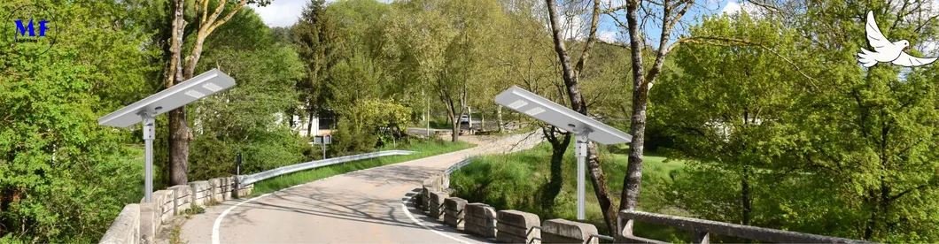 LED Solar Straatlantaarn Tuin Licht Bewegingssensor Wit Zilver 120W 100W 80W Alu. IP66 Voetpad Villa Binnenplaats 5