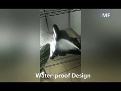 75W IP66 groothoek LED-schijnwerper 9200LM voor buiten