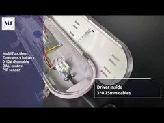 IP65 Triproof LED-lamp opbouw met opalen diffusor