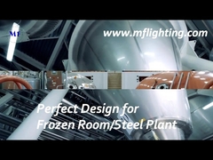 600mm LED Tri Proof armatuur 25W met diffusor van gehard glas