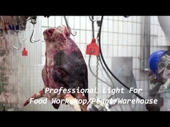 1200mm IP68 Waterdichte Tri Proof LED Lichtketting Beugel Gemonteerd