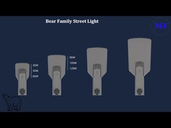 165lm/w NEMA Connector LED-straatverlichting IP66 IK08 Waterdicht