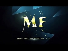 IP66 GELEID DAMP STRAK LICHT GELEID TRIPROOF LICHT