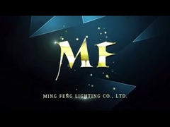 20W 40W 60W 2ft 4ft 5ft van LEIDENE het Triplafond Bewijslichten/het hangen Opgezette Damp strakke lichten