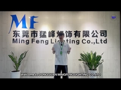 Ming Feng Lighting-Co., Ltd