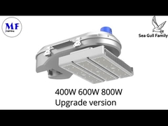 MF Seagull Family Hoogmastlicht