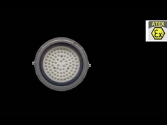 LEIDENE Explosiebestendige Lichten