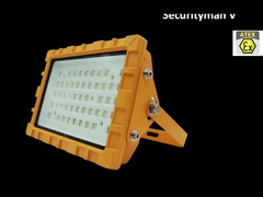 LEIDENE van IP66 IP67 Explosiebestendige Straatlantaarn met Stofdichte EX IECEX IK10 30W 50W 60W 80W 100W