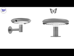 MF Zonnewandtuin licht vlinder 3