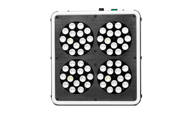 Intelligent Red / Blue LED Grow Lamp Safe Output Low DB LED Indoor Grow Lights