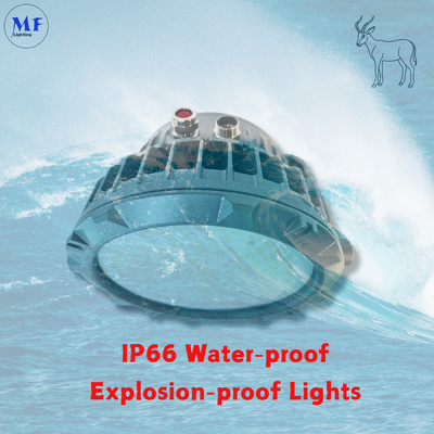 Factory Price ATEX Certified Explosion Proof Flood Light, Oil Gas LNG Chemical Plant Minging LED Explosion Proof Highbay Light, IP66 Ik08 Die-Cast Aluminum