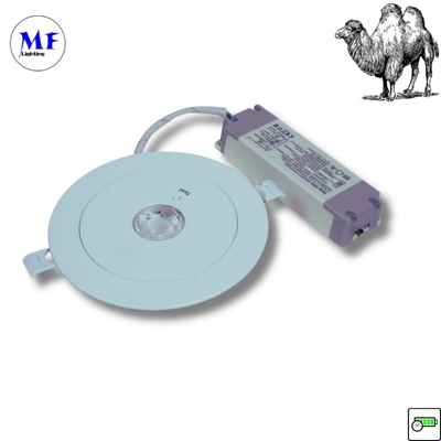 ABS PC IP43 Indoor 3W LED oplaadbaar noodgeval back-up teruggetrokken downlight 3 uur lange duur 230V LED noodlicht voor kantoor hotel fabriek
