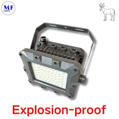 IP66 50W 75W 100W 150W 200W 240W 300W 350W 400W EATON Olie Minging Offshore Zone Explosiebestendige verlichting LED Explosiebestendige ATEX Flood Light